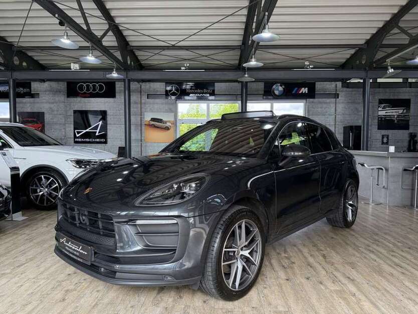 Macan