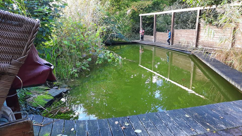 Essener Süden 1-2 Fam. Alleinlage für Naturliebhaber 7 zimmer