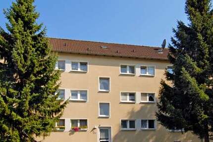 Wohnung Recklinghausen Grullbad - 2 Zimmer, 44 m&sup2;, 193&euro; | Angebot:25818758