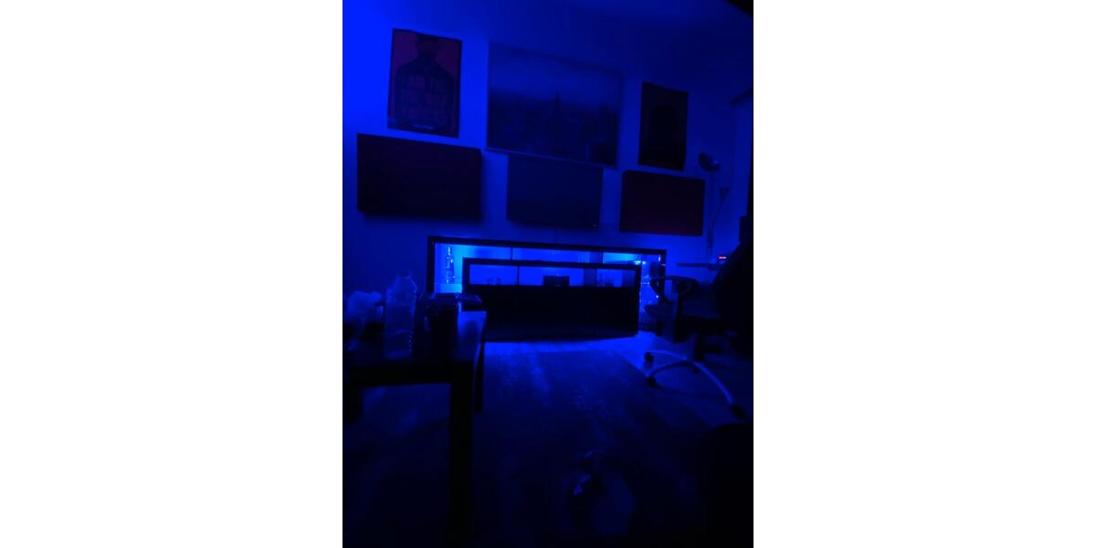 Studioraum zur Vermietung – ruhig, naturnah in Hattingen zimmer