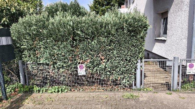 Mehrfamilienhaus, Wohnhaus Lünen Alstedde - 820.000&euro; | Angebot:26864697