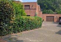 renovierungsbed.Haus mit Mischnutzungsrecht in Dorsten-Wulfen