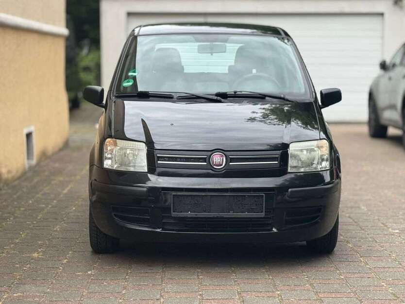 Panda