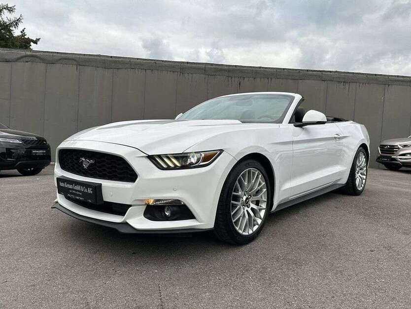 Mustang