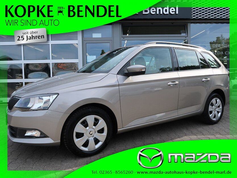 Skoda Fabia 59.500 km 13.920 € Marl 45772