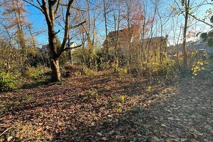 2 Familienhaus auf XLL Grundstück, mit Einliegerwohnung, 12 zimmer