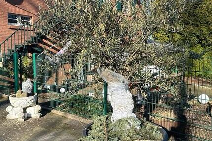 Haus Essen Stadtbezirk VII - 20 Zimmer, 570 m&sup2;, 1.500.000&euro; | Angebot:25612813