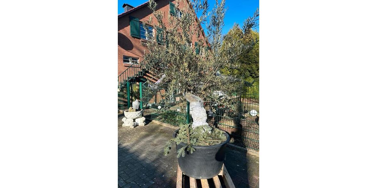 Mehrfamilienhaus, Wohnhaus Essen Stadtbezirk VII - 20 Zimmer, 570 m&sup2;, 1.500.000&euro; | Angebot:25612813