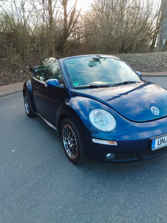 Beetle