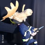 Finn, der Feuerwehrelch