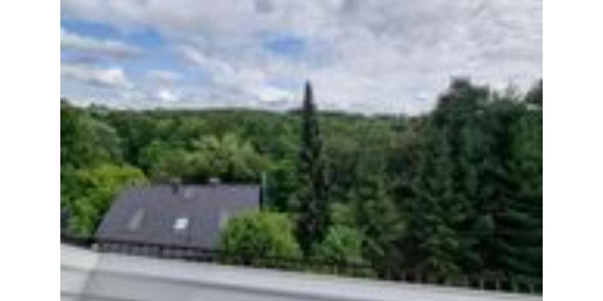 DG Wohnung im ruhigem + gepflegten Haus in grüner Lage + EBK 2 zimmer