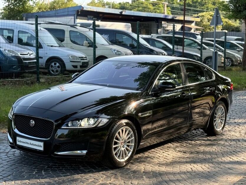 XF