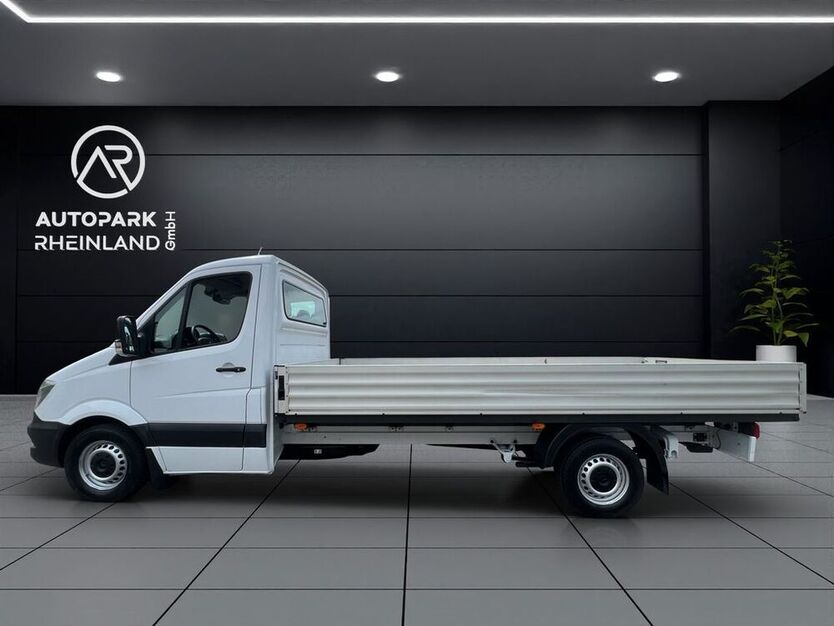 Sprinter