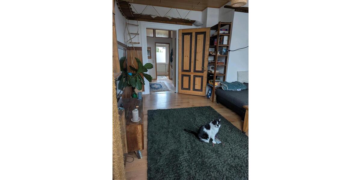 Gemütliche, helle Wohnung zur Untermiete Mai- Oktober 1 zimmer