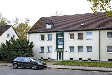 Wohnung Gelsenkirchen Ückendorf - 2.5 Zimmer, 40 m&sup2;, 289&euro; | Angebot:26517338