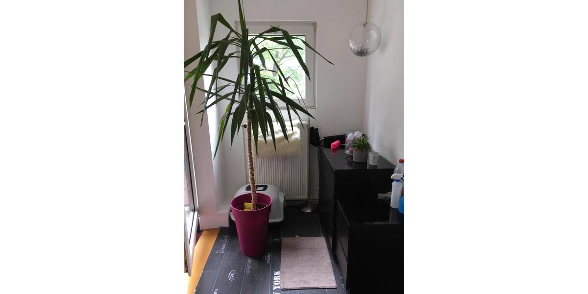 Dachgeschoßwohnung Dortmund Brackel - 1 Zimmer, 63 m&sup2;, 129.000&euro; | Angebot:26615470
