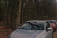 Gebrauchtwagen VW Golf