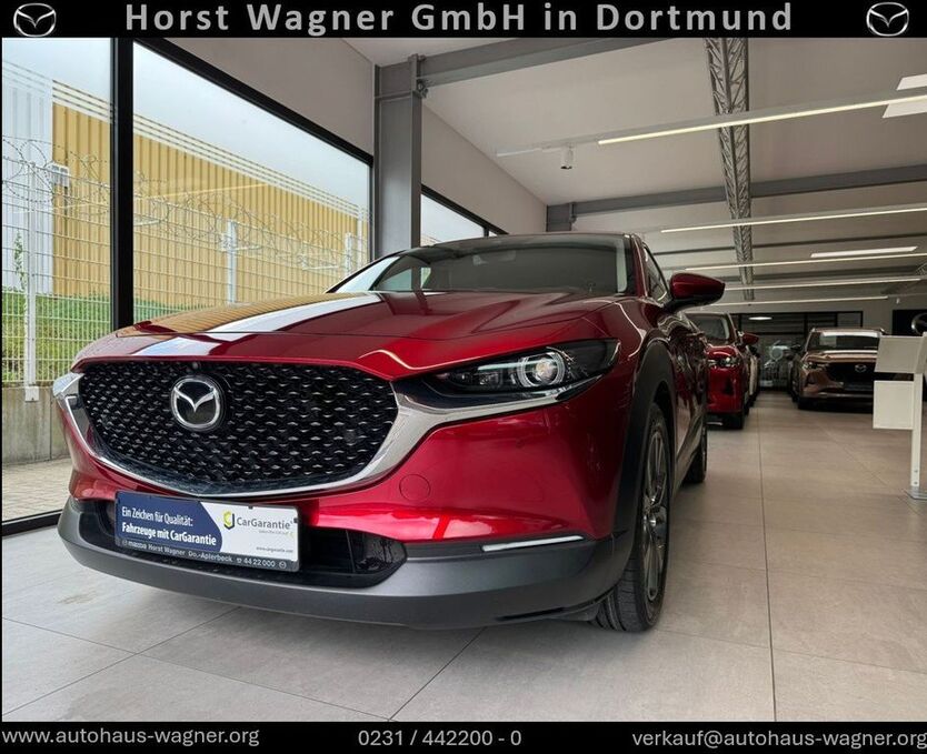 CX-30