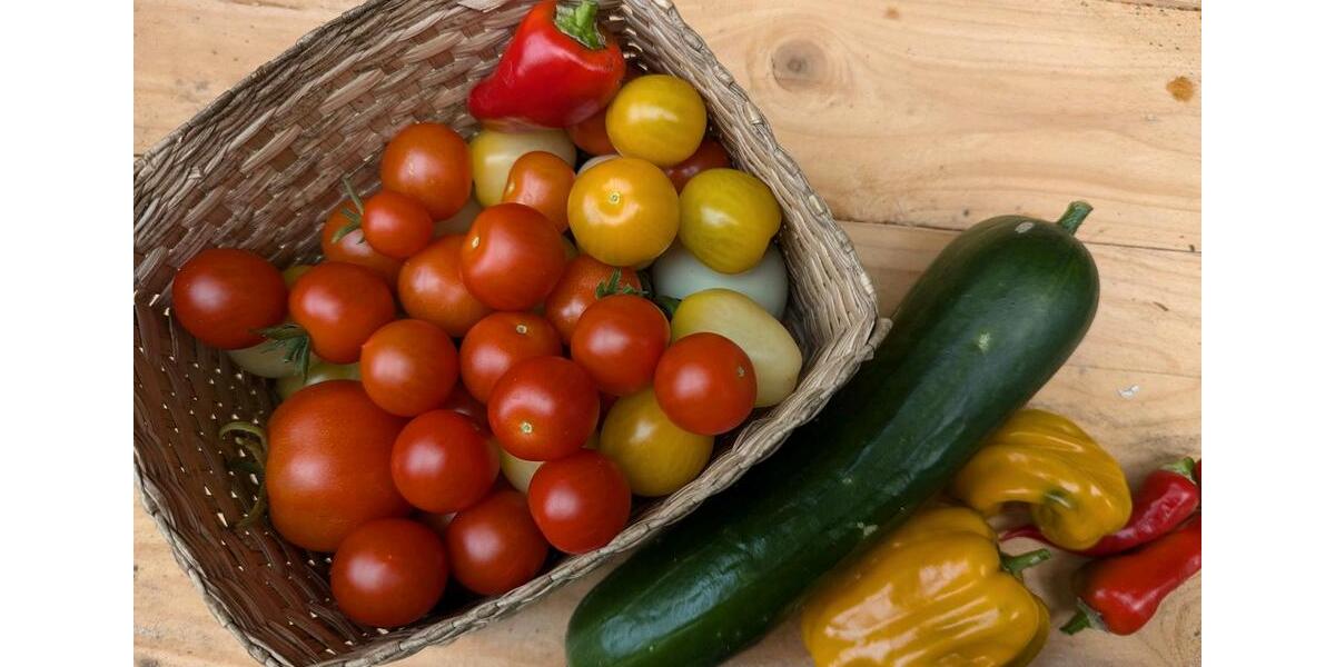 Doppelhaushälfte Bochum Bochum-Ost - 9 Zimmer, 170 m&sup2;, 600.000&euro; | Angebot:25945103