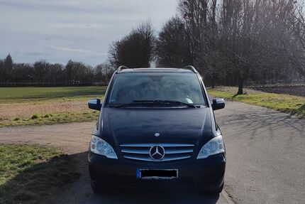 Mercedes Viano