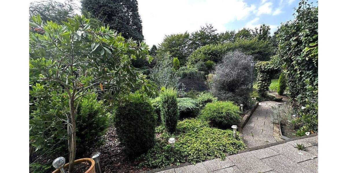 Mehrfamilienhaus, Wohnhaus Gelsenkirchen Horst - 895.000&euro; | Angebot:25779528