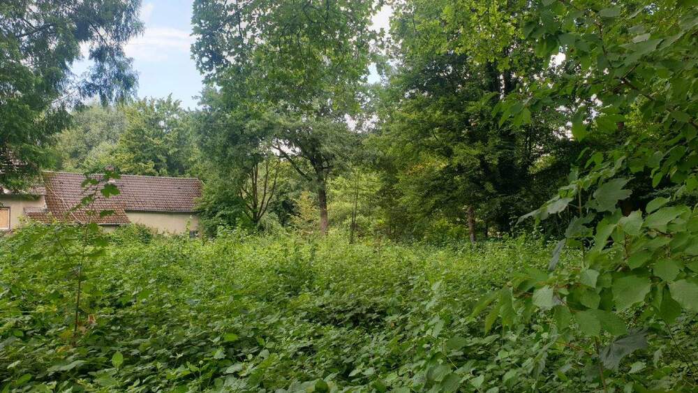 Grundstück Dortmund Scharnhorst - 490.000&euro; | Angebot:23970583