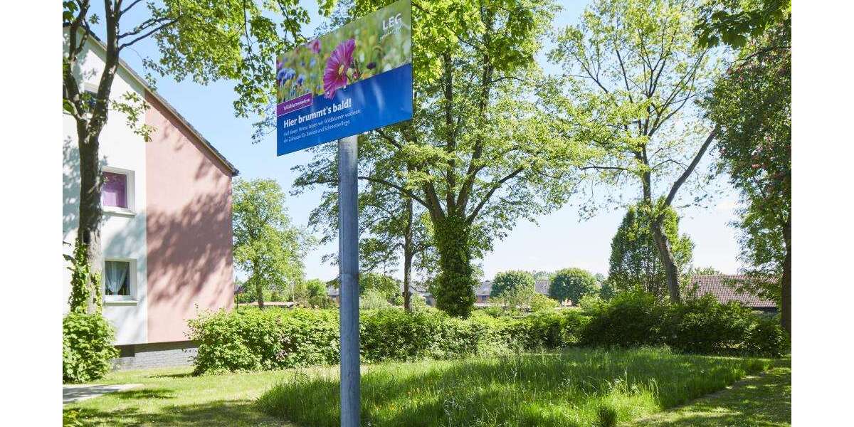 Etagenwohnung Dortmund Eving - 2 Zimmer, 42 m&sup2;, 389&euro; | Angebot:27235820