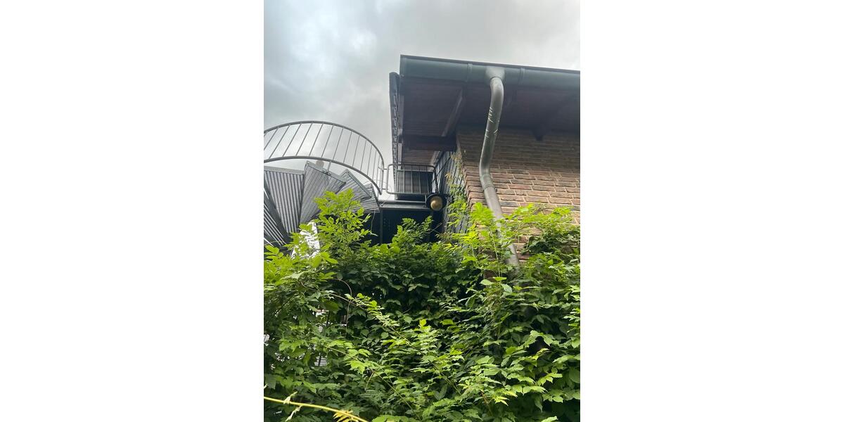 Dachgeschoßwohnung Oberhausen Alstaden - 1 Zimmer, 75 m&sup2;, 800&euro; | Angebot:24592145