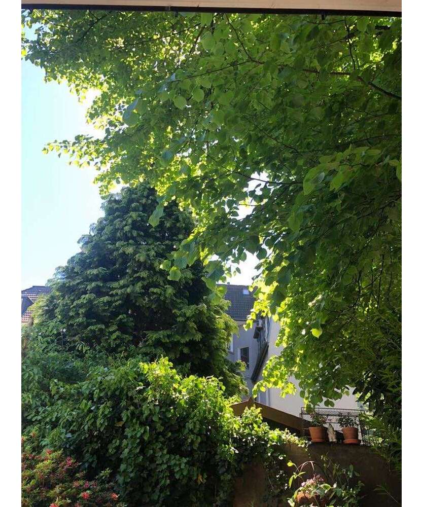 Wohnung zum Mieten in Essen 1.420 € 119 m²