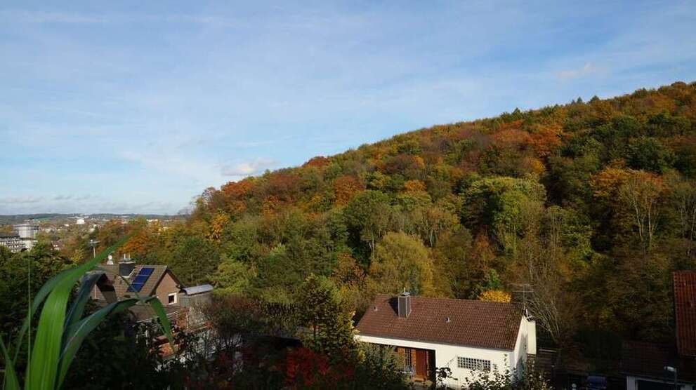 Grundstück zu verkaufen in Wuppertal 229.000 € 438 m²