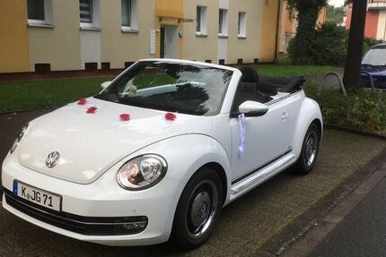 VW Beetle