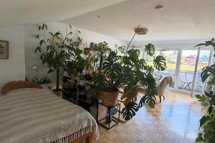 Wohnung Dortmund Hörde - 1 Zimmer, 39 m&sup2;, 430&euro; | Angebot:27553160