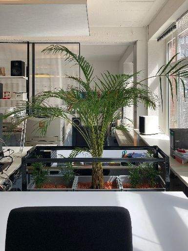 Moderner Offener Arbeitsplatz in Bochum - flexibel, sofort verfügbar zimmer