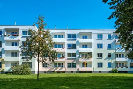 Wohnung Dortmund Brackel - 3 Zimmer, 65 m&sup2;, 528&euro; | Angebot:26416248
