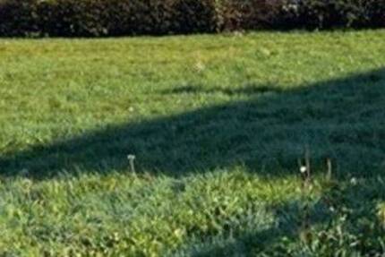 Grundstück Dortmund Lanstrop - 130.000&euro; | Angebot:25728963