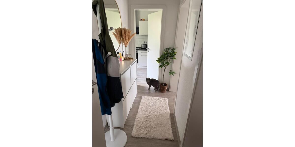 Etagenwohnung Dortmund Eving - 2 Zimmer, 50 m&sup2;, 665&euro; | Angebot:26197458