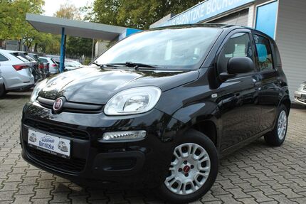 Fiat Panda 71.380 km 7.990 &euro; Bochum 44866