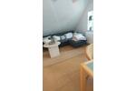 Dachgeschoßwohnung Dortmund Aplerbeck - 1 Zimmer, 70 m&sup2;, 1.250&euro; | Angebot:26426324