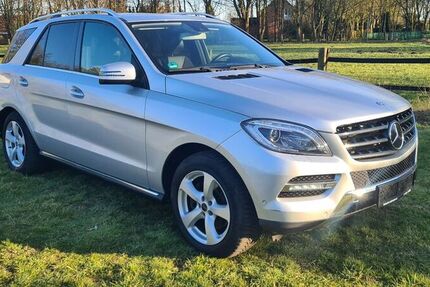 Mercedes ML 250