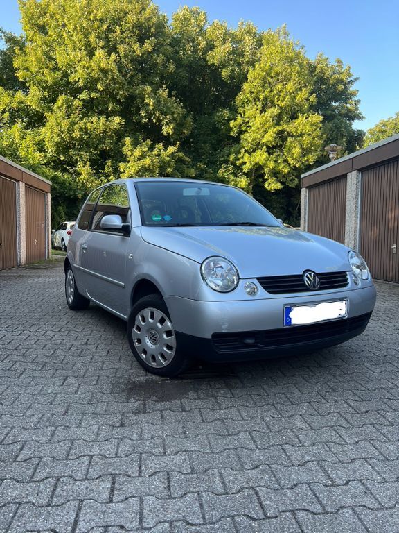 Lupo