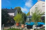Mehrfamilienhaus, Wohnhaus Dortmund Hombruch - 548.000&euro; | Angebot:27498553