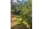 Doppelhaushälfte Dortmund Hörde - 4 Zimmer, 133 m&sup2;, 399.000&euro; | Angebot:27208980
