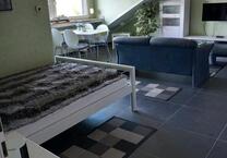 Verkauf Möbliertes 1 Zimmer Apartment Studio in Rheinnähe