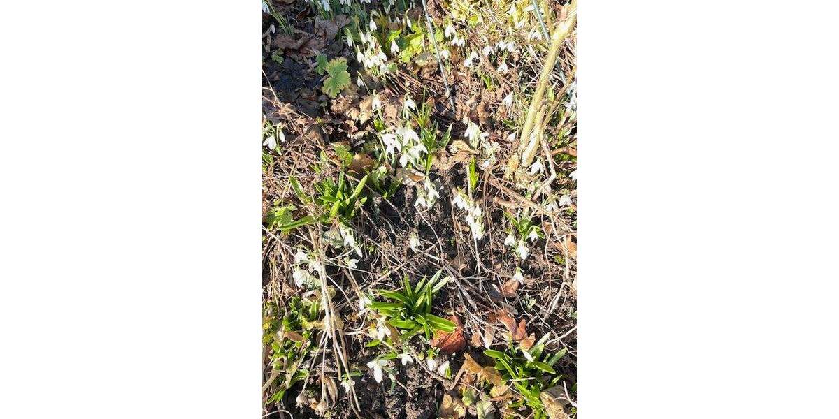 Reihenmittelhaus Wuppertal Elberfeld - 6 Zimmer, 150 m&sup2;, 439.500&euro; | Angebot:25391092