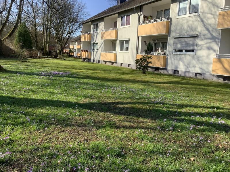 Schöne Wohnung: praktische 3,5-Zimmer-Wohnung zimmer