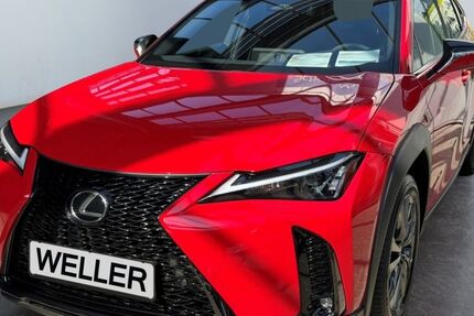 Lexus UX 1.500 km 49.749 € Dortmund 44143