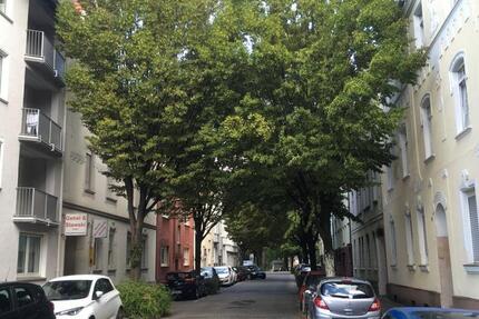 frisch sanierte Dachgeschosswohnung zimmer