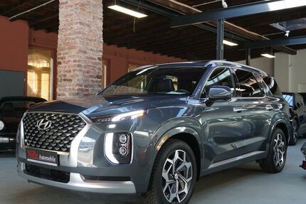 Hyundai Tucson Palisade AWD Ultimate 360° Leder Pano