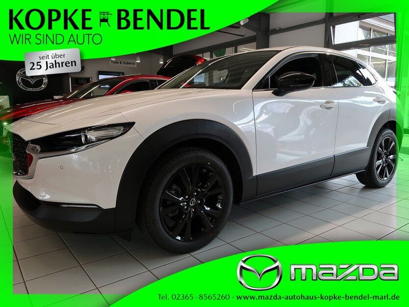 Mazda CX-30 1.350 km 27.880 € Marl 45772