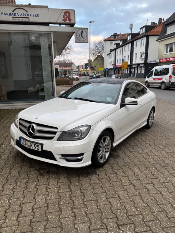 C 250